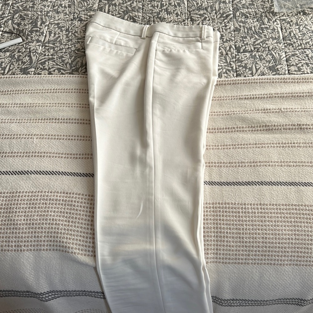 Express Columnist Pant - full length